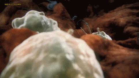 死去的生物突然开始攻击我,人类死亡后细胞拼命自救