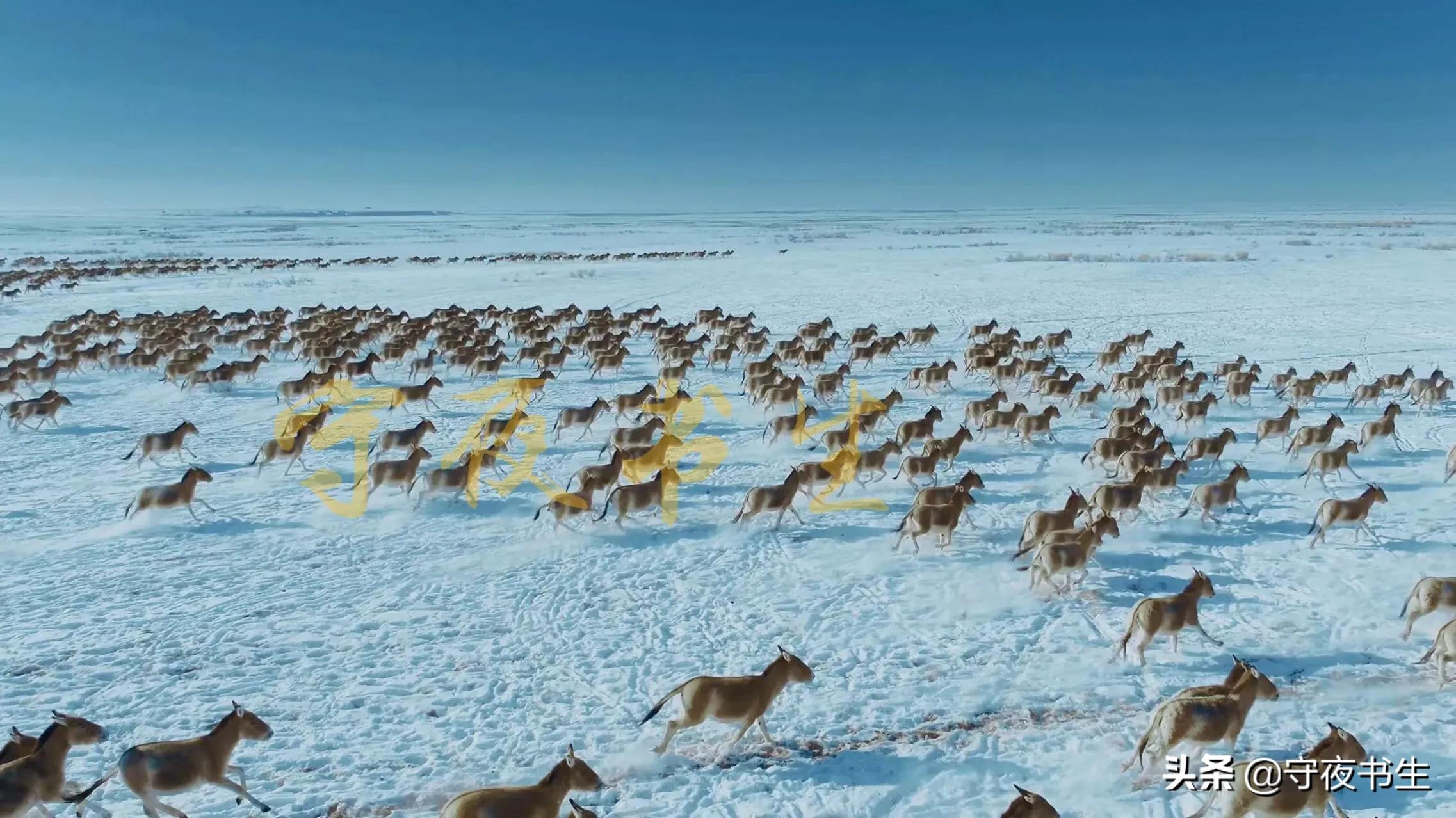 2022北京冬奥开幕式运动员入场,北京冬奥开幕式保留曲目