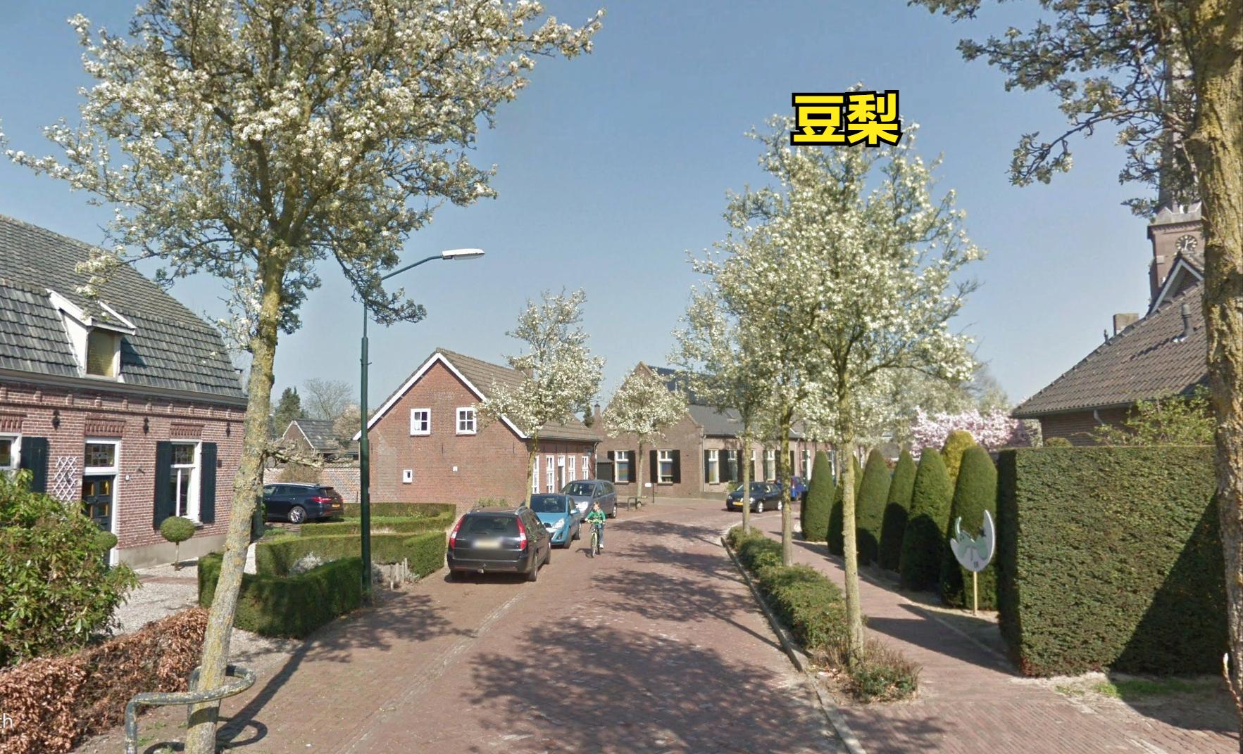 探访欧洲农村：荷兰农村房子，比我国农村房子小，但环境比我们好