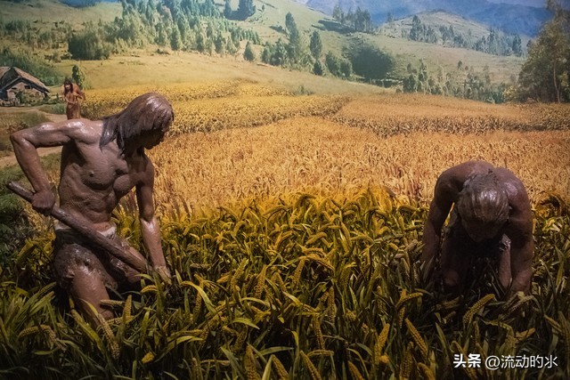 公元3500年前古人用火来干嘛,知道古人是如何来使用火的吗