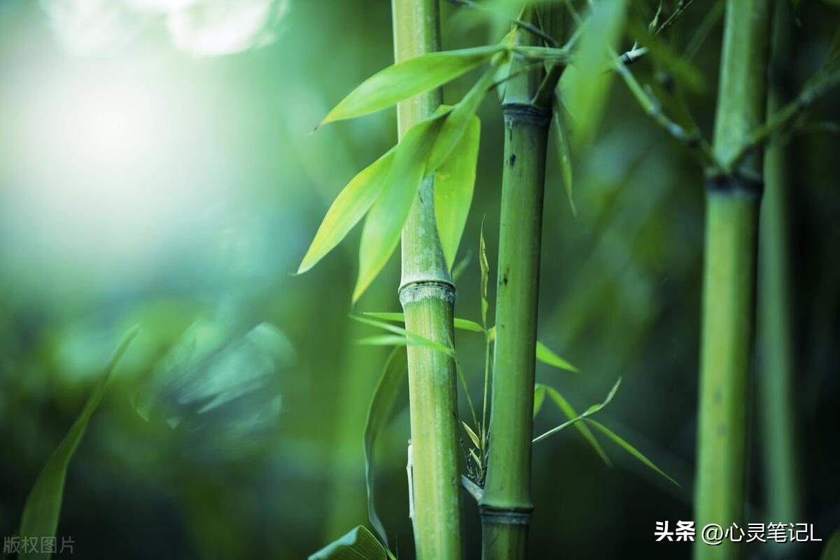 100句励志短语激励人心,十大经典励志语录短语