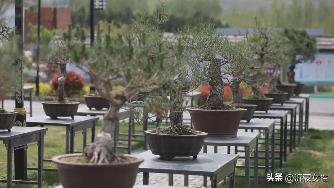 美在农家美篇,美在农家