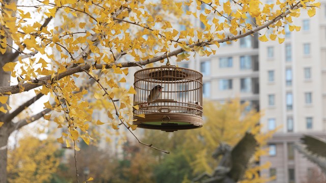 物是人非事事休欲语泪先流,物是人非事事休欲语泪先流天蝎座