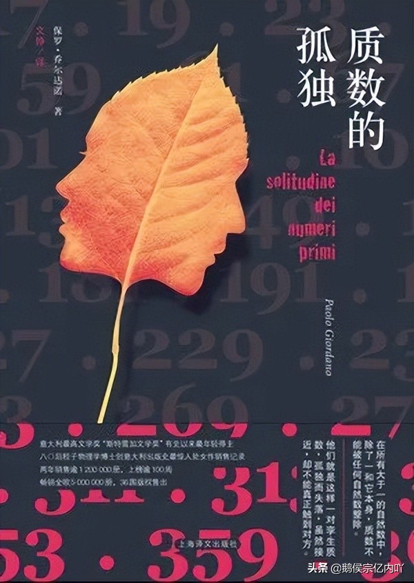 《质数的孤独》：两个质数，代表两个孤独的少年、两个脆弱的大人