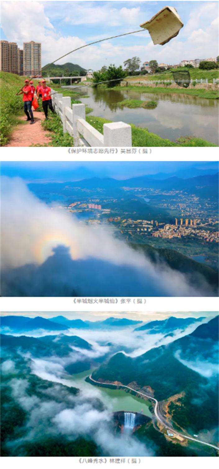 生态环保主题摄影,大美摄影大赛获奖作品