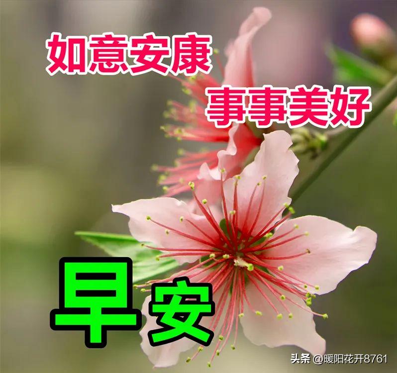 早安周末愉快问候语正能量,周末愉快早安问候语一句话