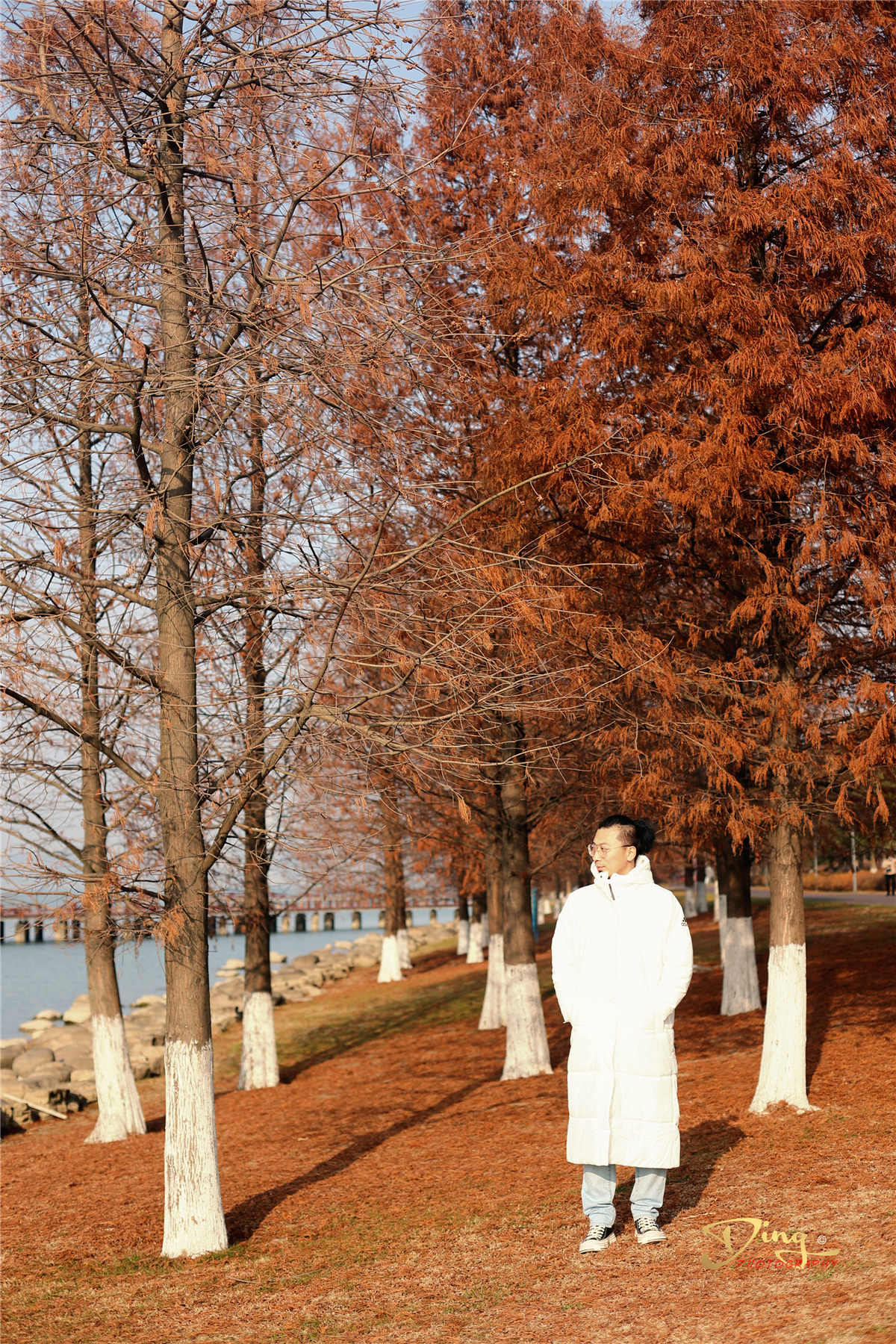 苏州梦里江南二日游攻略,苏州自驾游太湖最佳景点推荐