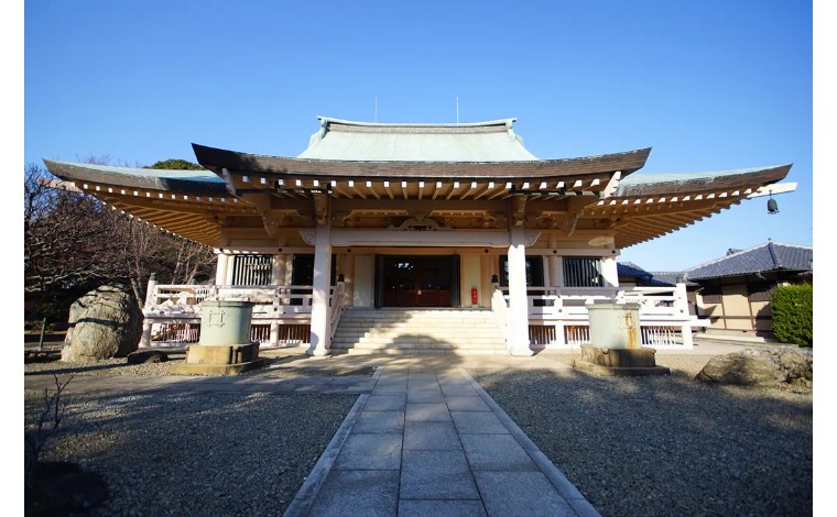 为什么只有流浪猫没有流浪狗,为什么只有招财猫