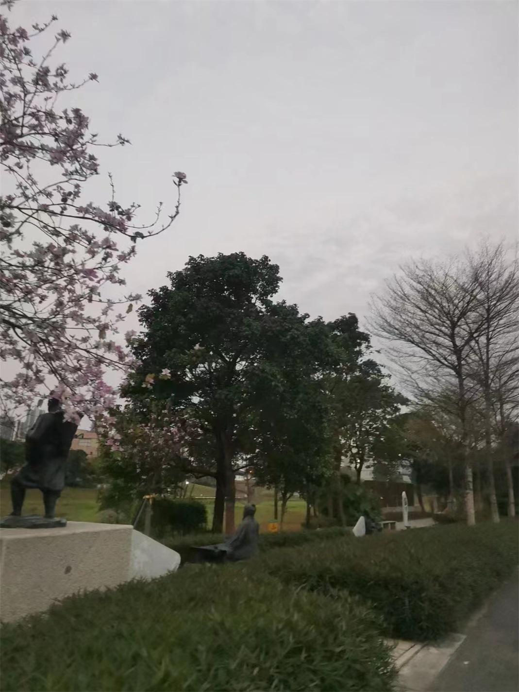 我最喜欢的艺术家英文作文,我最喜欢的艺术家