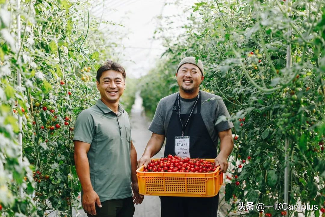 snowpeak进中国了吗,snowpeak上海