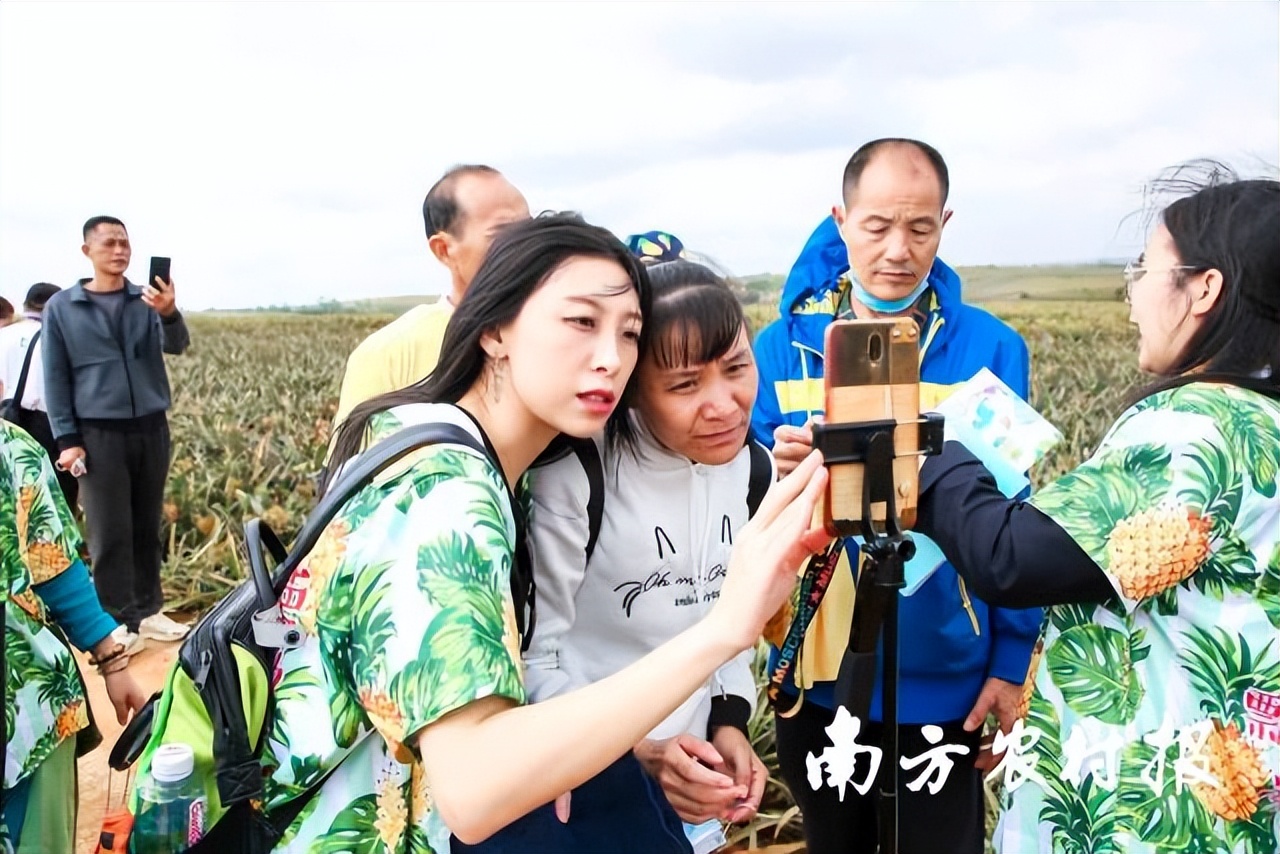 徐闻菠萝“百千直播”模式，县域电商营销培训一体化样板|数字强农“七个一百”标杆案例⑦