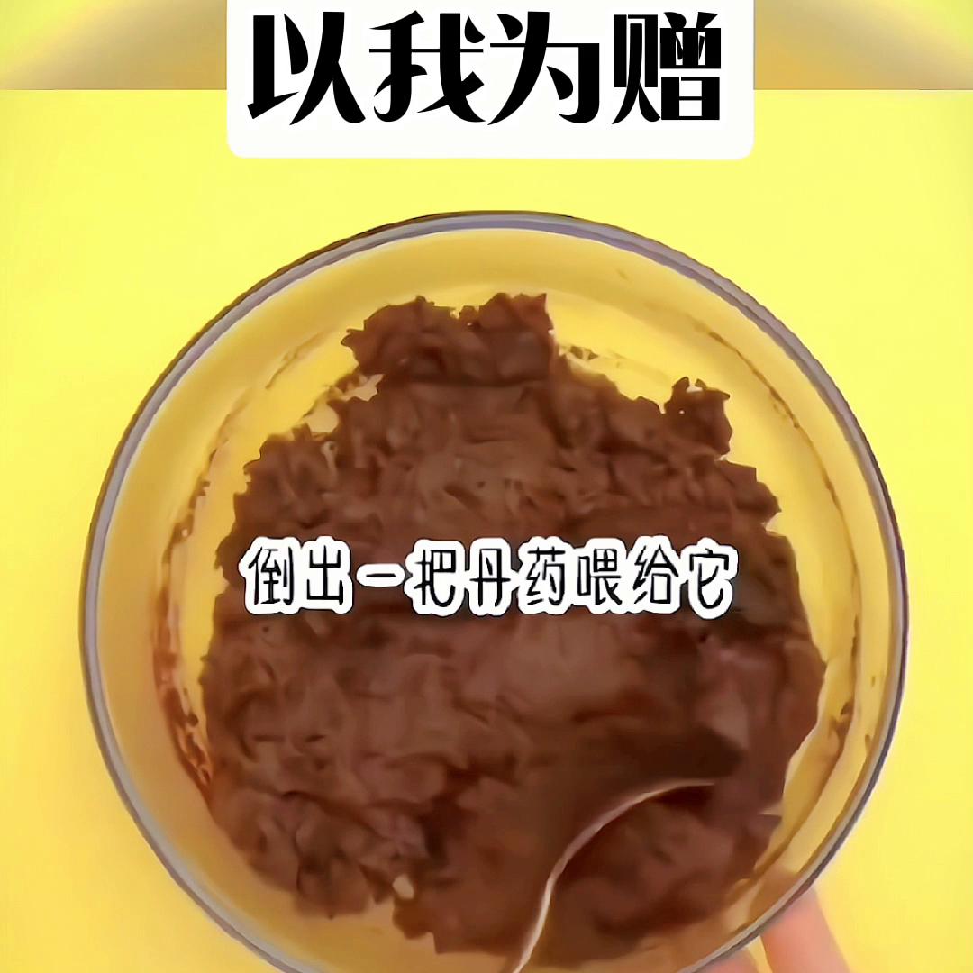 以我为赠@抖音短视频