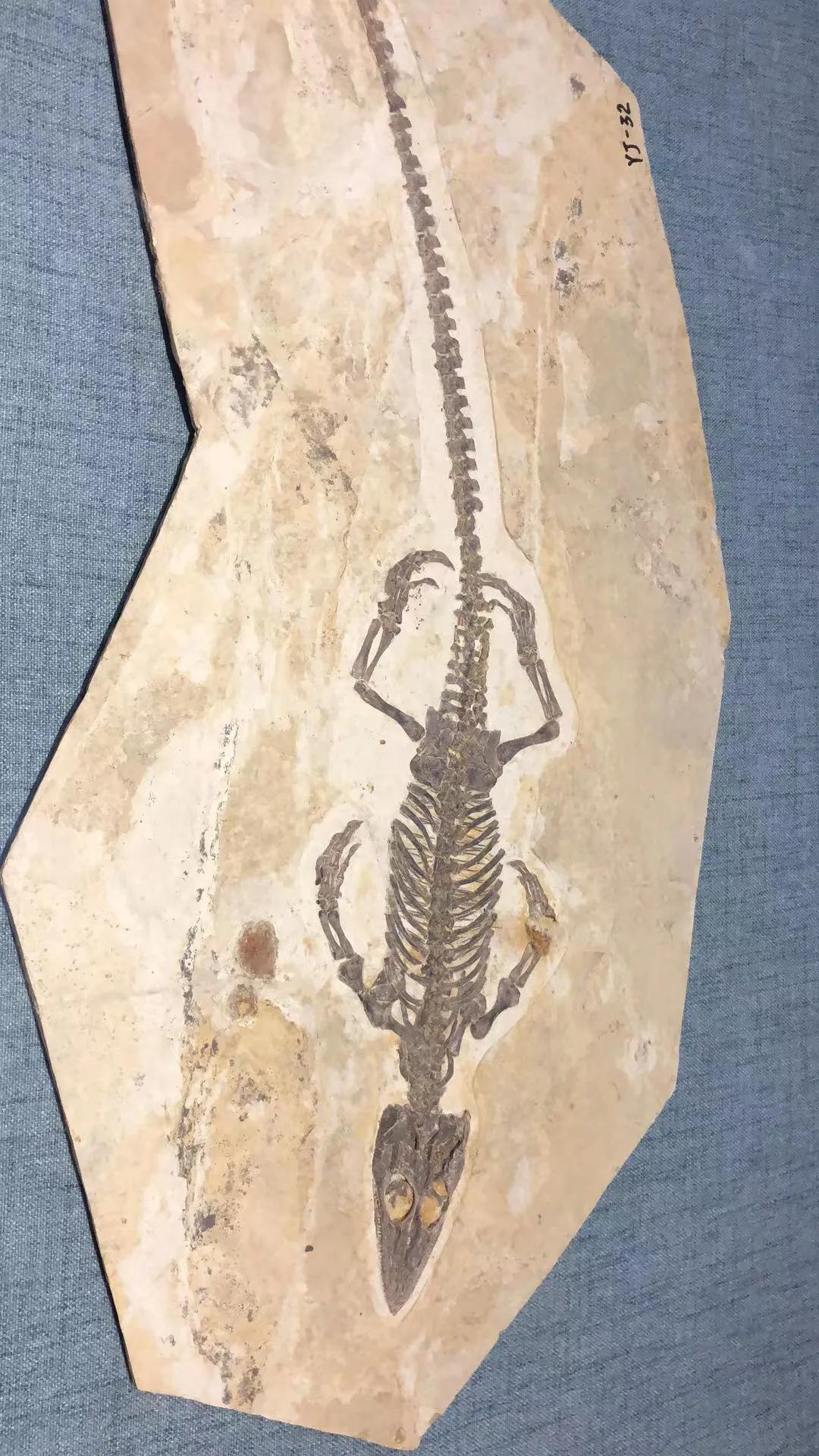 辽西自驾游一日游攻略,辽西自驾游一日游