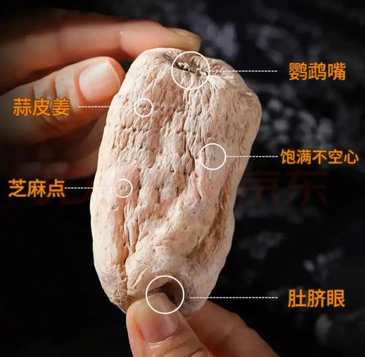 科普天麻知识大全完整版,冬季天麻怎么吃