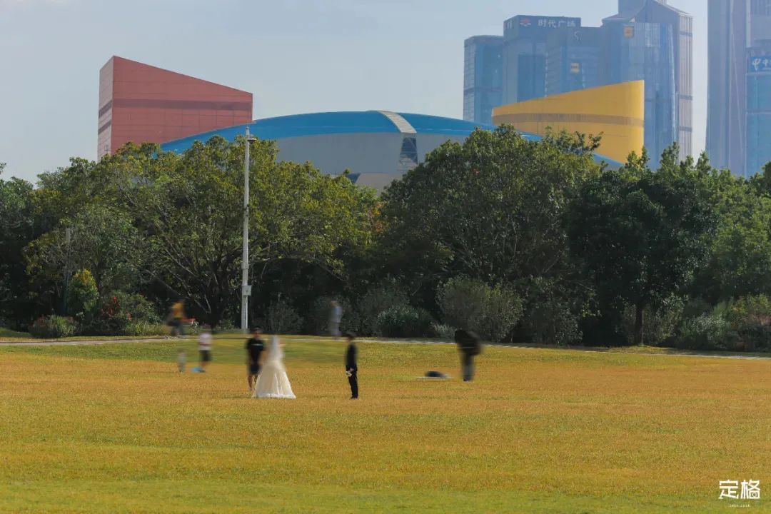 深圳免费露营的公园推荐,深圳22个露营公园