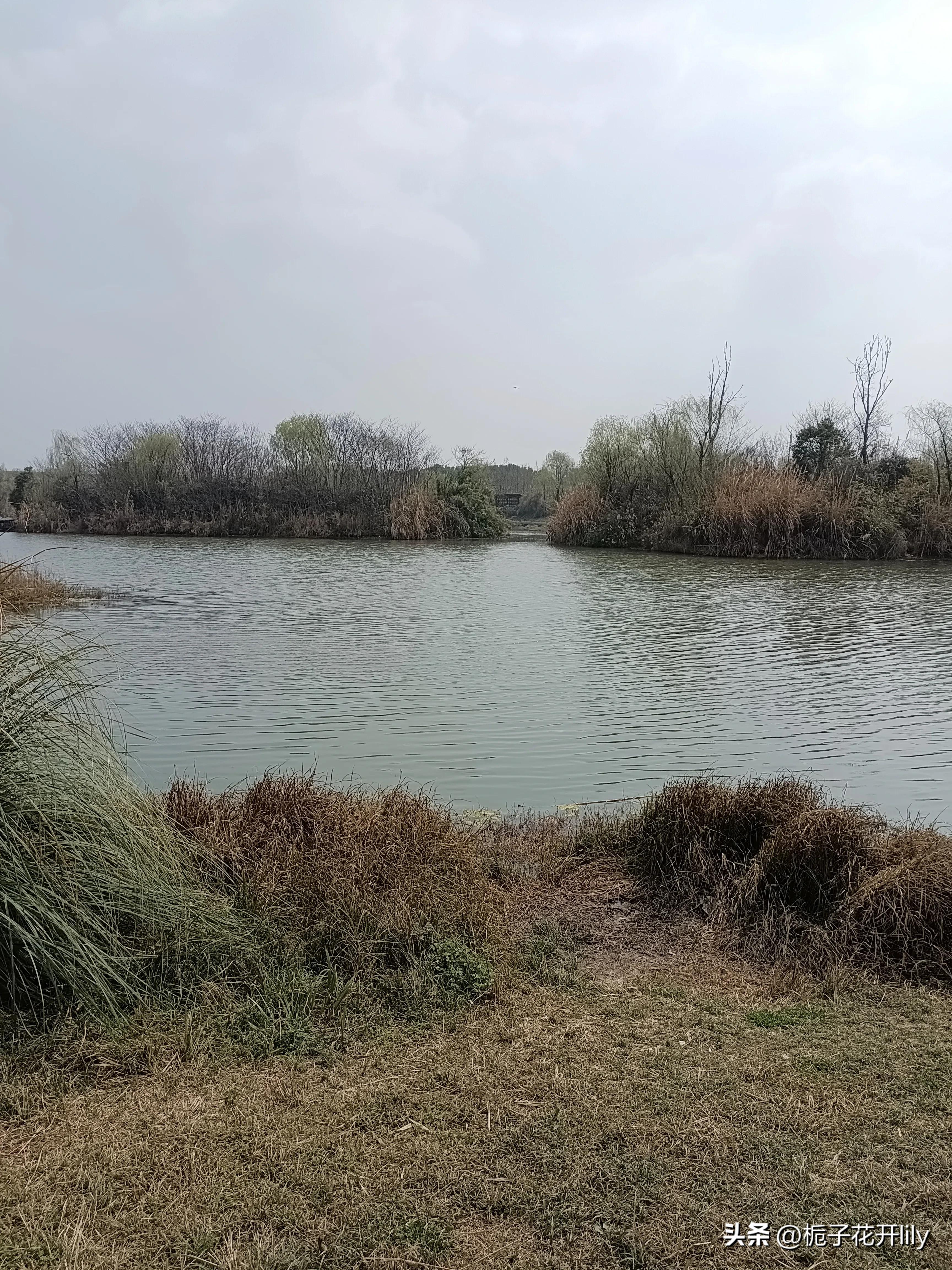 这周末可以在成都哪些地方玩,周末成都有哪些值得去的地方