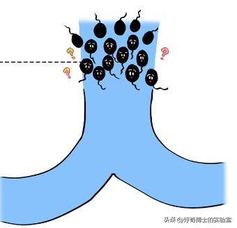 为了延长时间,同房时忍着不射有用吗?对身体会造成哪些影响?