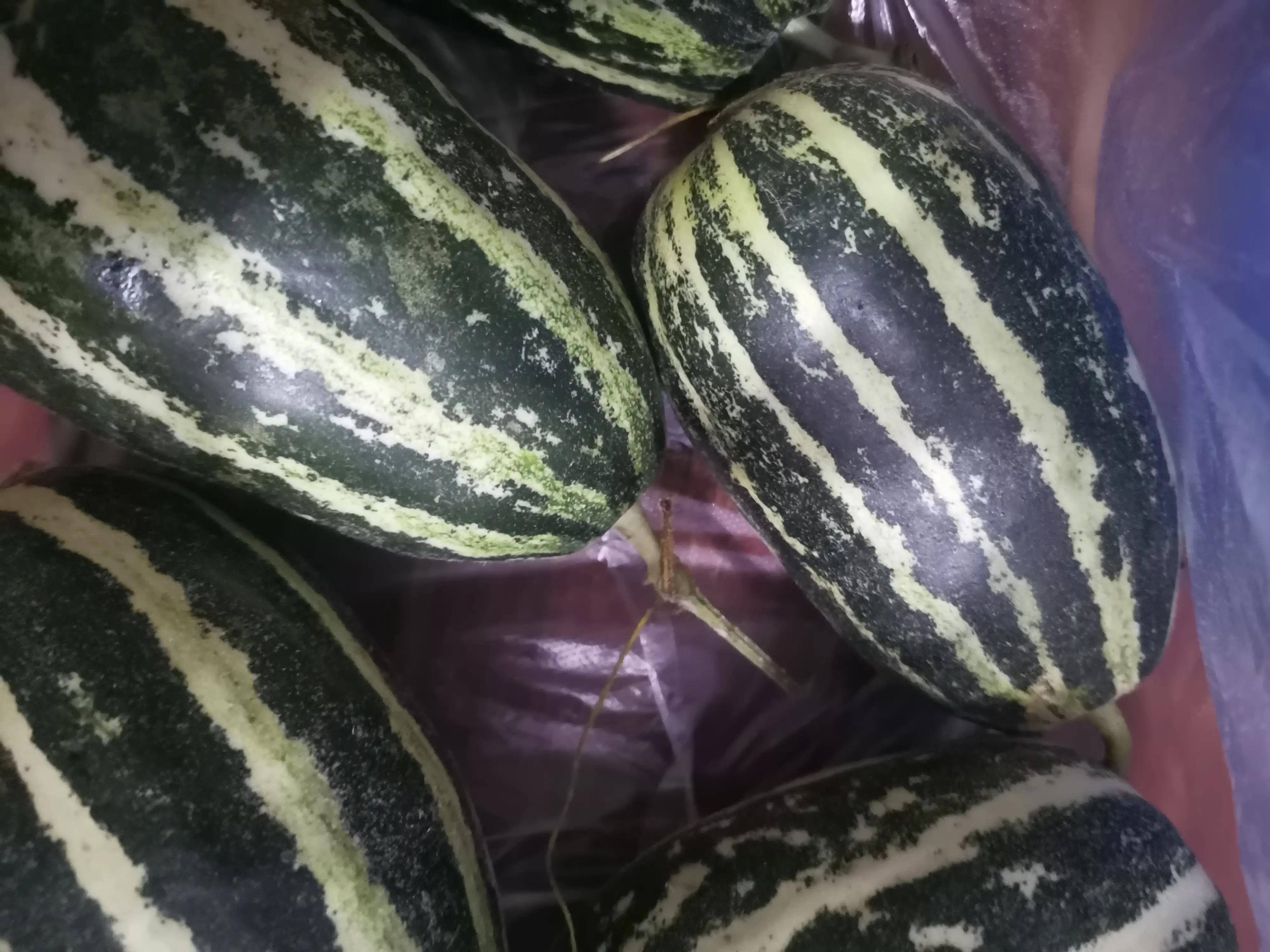 期待夏天水果盛宴,水果盛宴活动方案