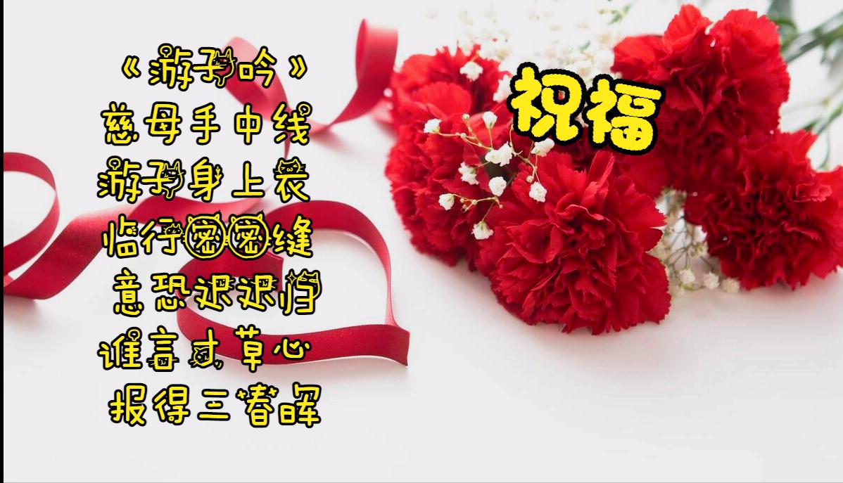 母亲节母爱胜过鲜花的美,感恩母亲节世界上唯有母爱最无私