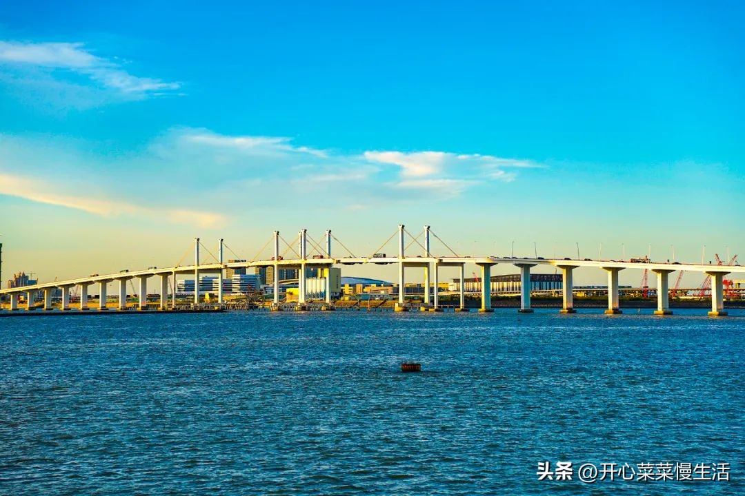 珠海澳门环岛游日游夜游,珠海游轮澳门环岛游值得坐吗