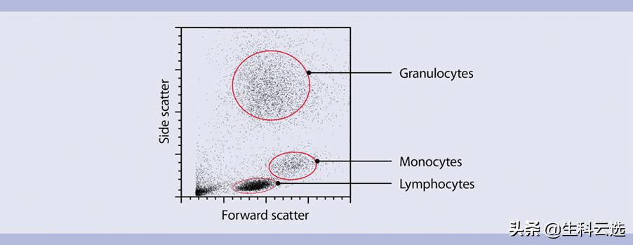 干货分享内容优化技巧,流式染色注意事项
