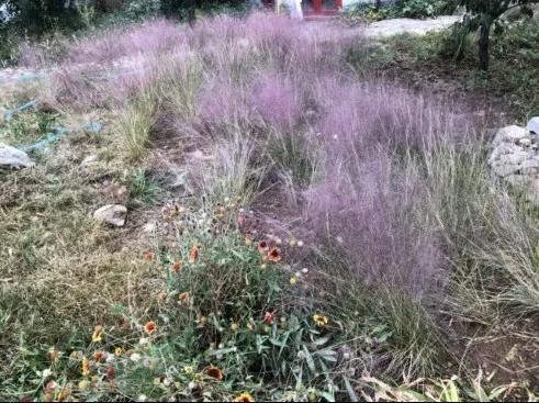 沂蒙七十二崮分布图,沂蒙山区七十二崮属于什么地貌