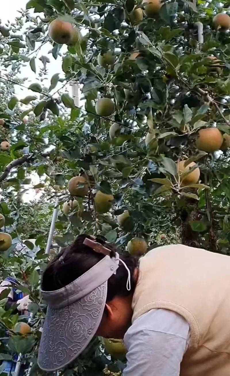 山东妹子小雪远嫁韩国最新视频,一个山东女人远嫁到外地