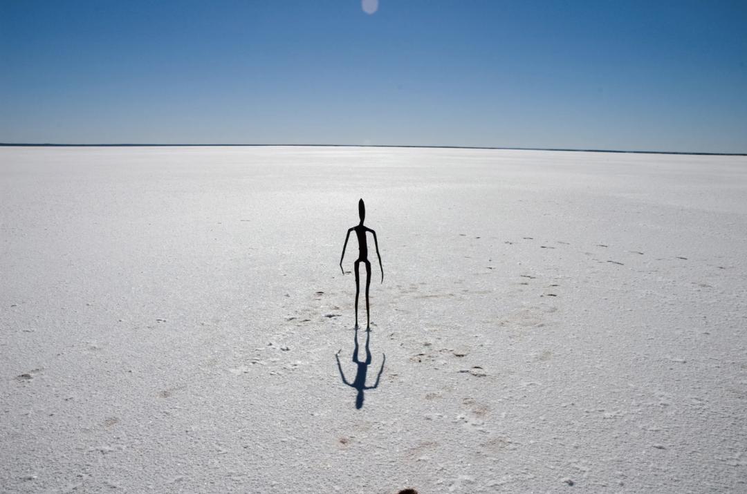 最极致的体型,世界最高身材