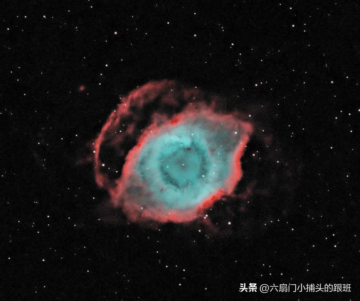 懂懂日记,懂懂日记全集完整版