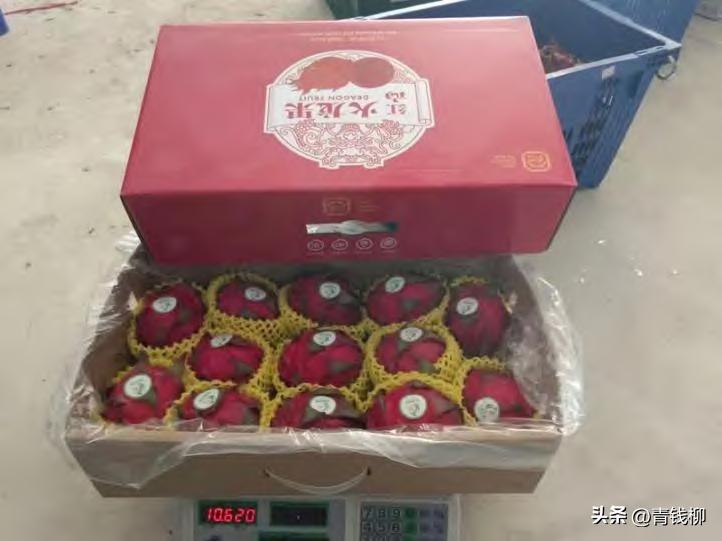 海南红心火龙果鲜果冻干,火龙果包装打法