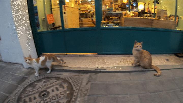 中国小伙的航海日记十六,中国小伙航海日记41