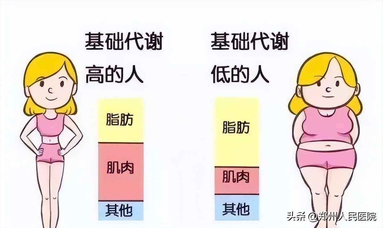 “液断”、“碳断”、“蛋断”？我怀疑你在整我……