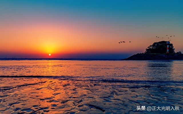 只有8万阅读量的作品，我却赚了264，只因我用这几个方法