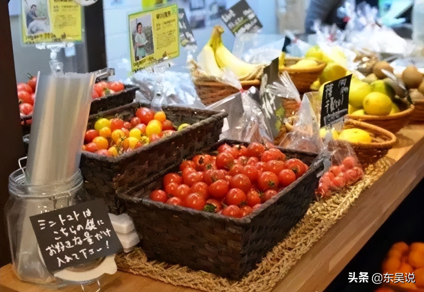 myfarm创新共享农业新模式,日本myfarm共享农场营销模式