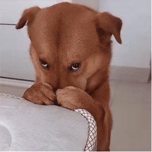 脚大男袜,脚胖脚宽男童袜