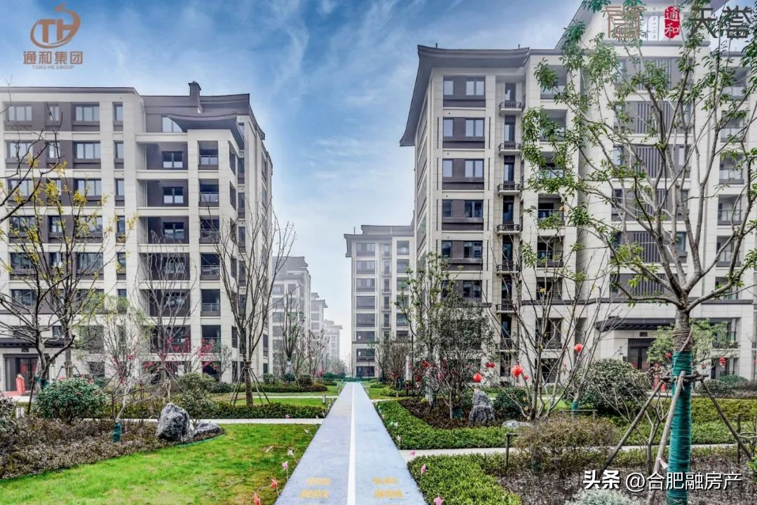 滨湖西板块通和天誉,滨湖西通和天誉