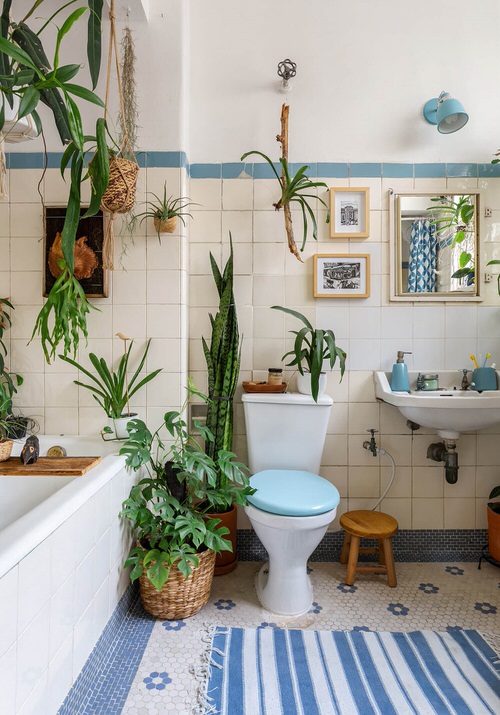 室内植物装饰推荐,室内植物装饰的选材和方法