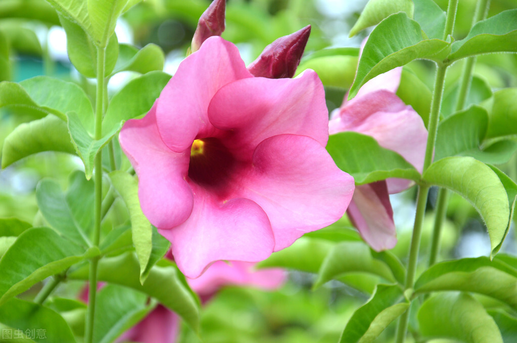 成年人最大的清醒是赚钱谋生,成年人最大的清醒就是存钱