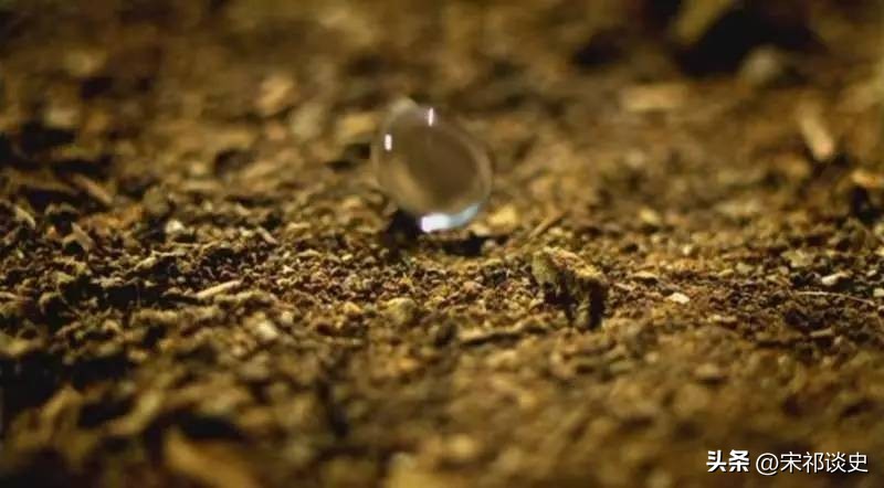 创新科技:基于固定化单金纳米棒的汞合金等离子体检测技术