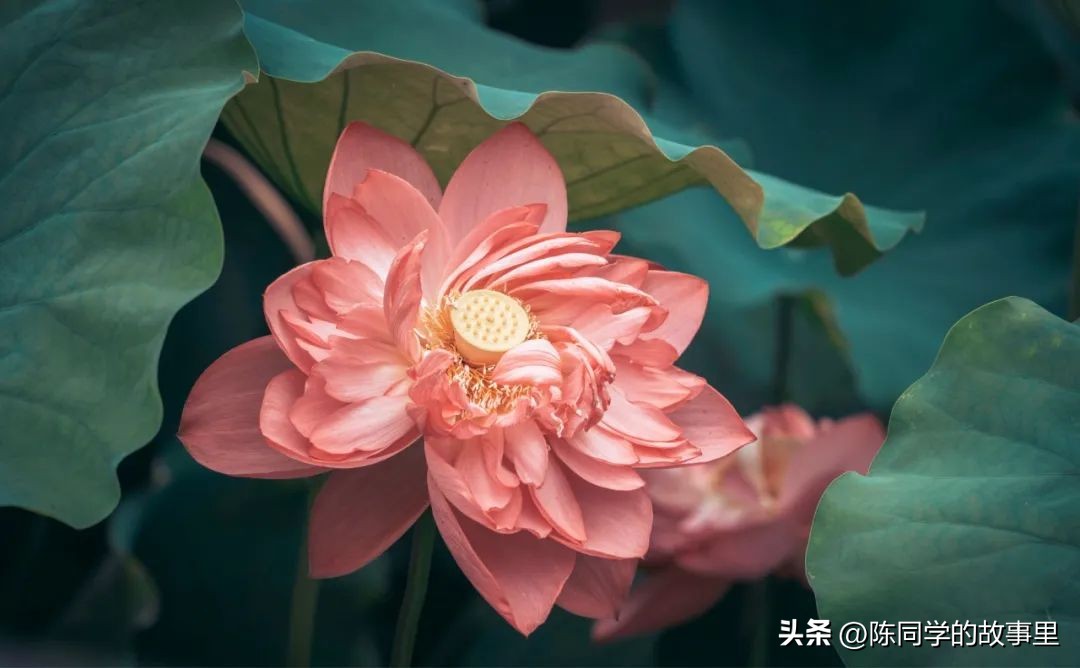 福建霞浦最美的海滩在哪里,霞浦值得去的海滩