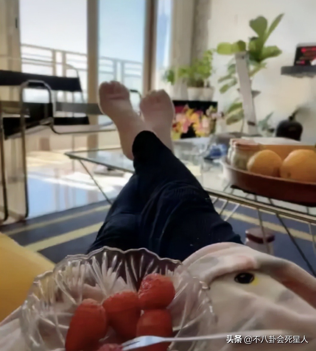 走穴捞金朱永棠,走穴捞金