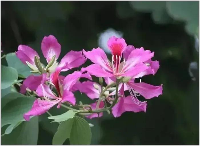 早安励志语录正能量,4月正能量励志语录