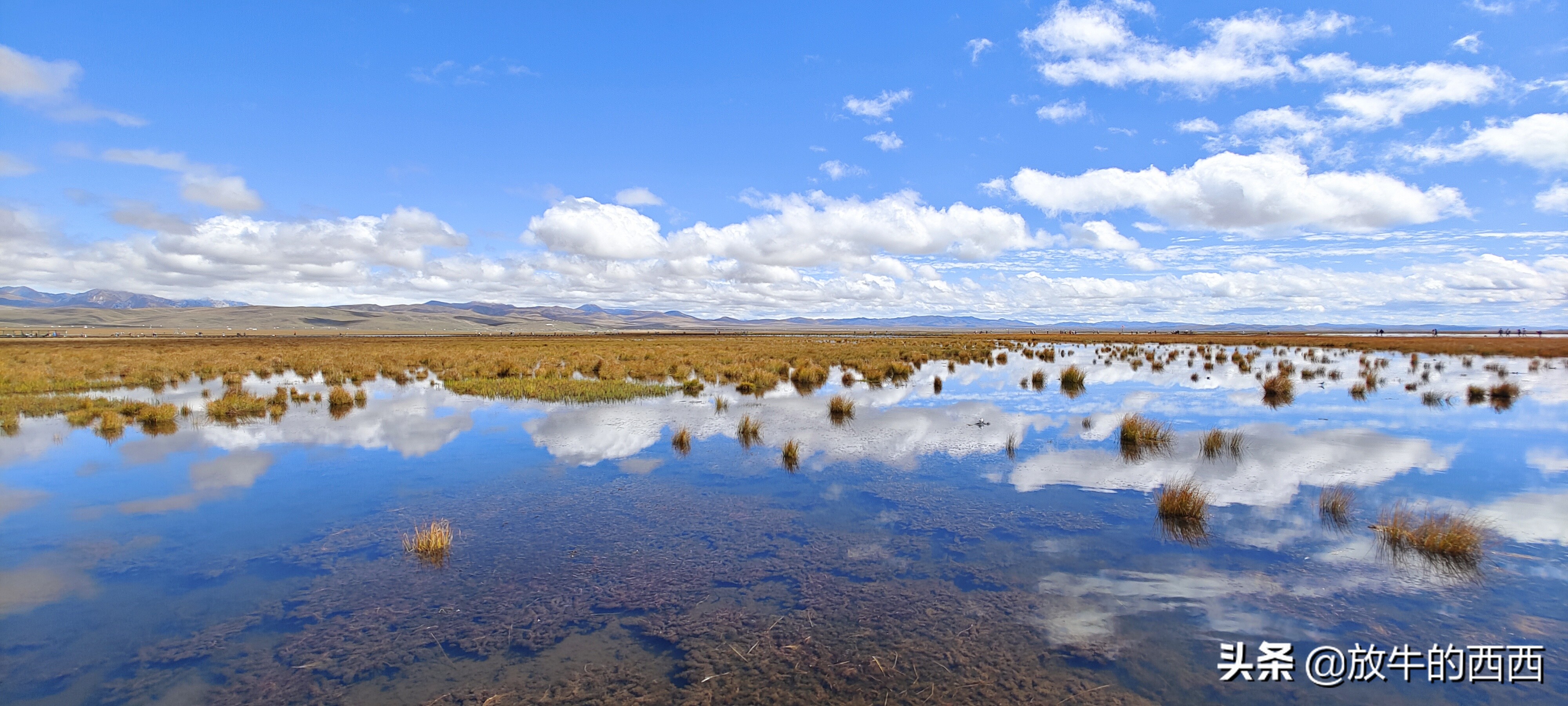 6999元原价购入“厂妹机”,使用近3个月,我后悔了吗?