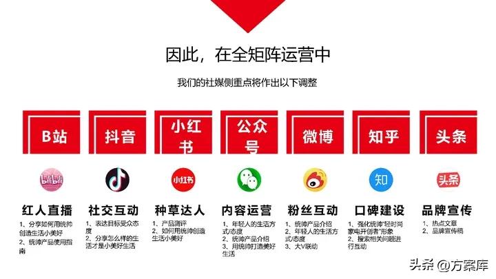 品牌系统营销方案,2020统帅品牌社会化营销策略提案