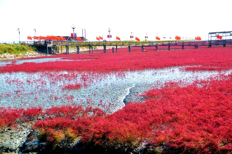 辽宁盘锦在哪个地方,去盘锦旅游哪里好