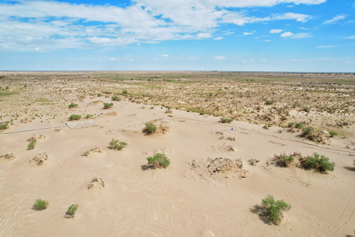 实拍格尔木胡杨林，海拔2800米，连绵1700亩，苍凉辽阔，拍照超酷