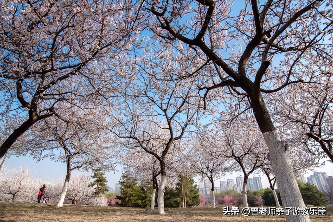 西安旅游攻略必去10个景点,西安旅游攻略必去景区