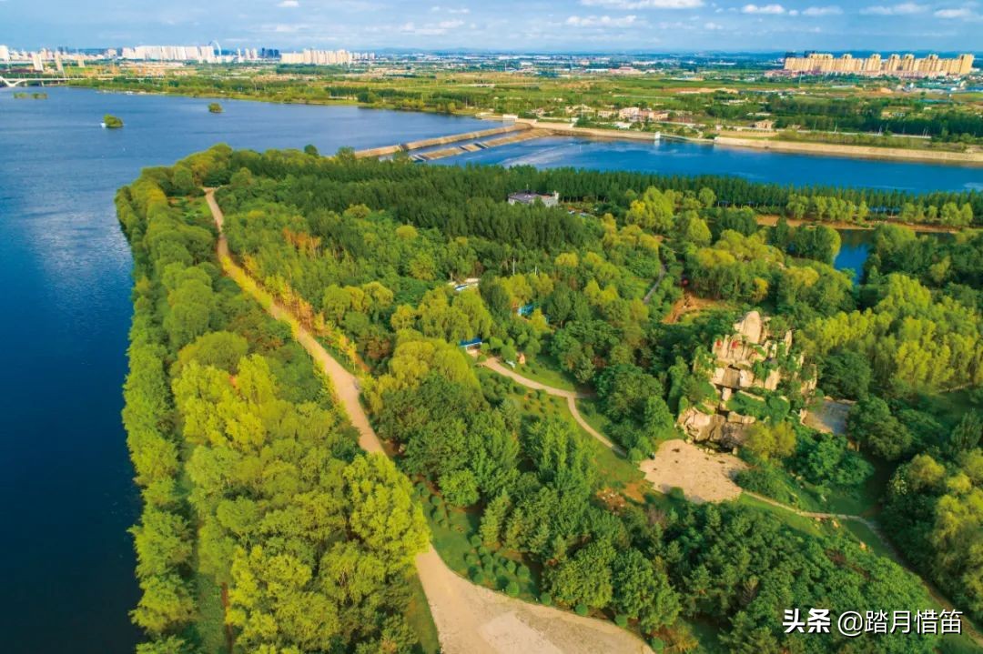 东北沈阳疫情最新通报,东北沈阳疫情