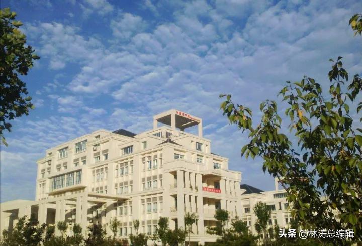 大学生职业生涯规划书模板范文ppt,500字的电商大学生职业生涯规划书