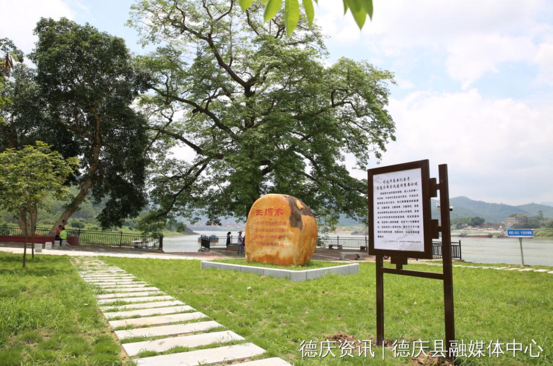 肇庆最美公园,大美广东肇庆风景区